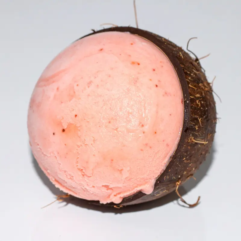 Fruit Shaped Ice Cream: 10 Amazing Viral Desserts 17 coconut shell ice cream dessert