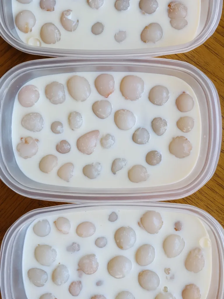 Lychee Panna Cotta Vietnamese Recipe: Easy & Creamy 19 A minimalist, dark dish artfully presenting a serving of Vietnamese lychee panna cotta cubes and fresh fruit.