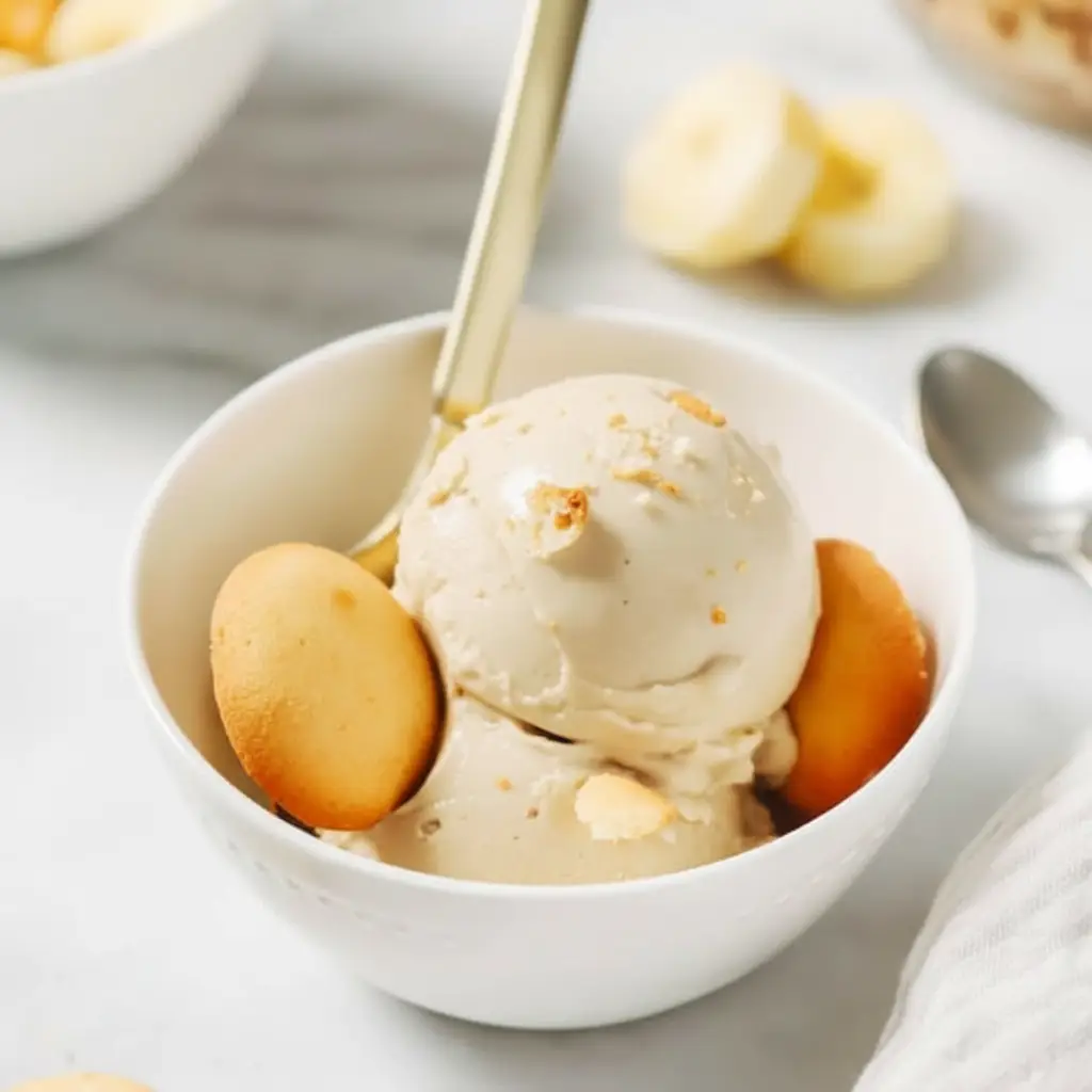 Best Dairy Free Ninja Creami Recipe Protein